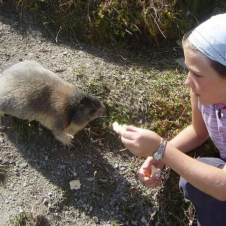 Appartamento Haus Alpenglueck *