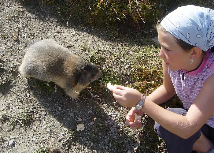 Appartement Haus Alpenglueck *